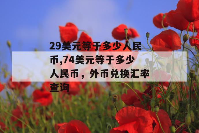 29美元等于多少人民币,74美元等于多少人民币，外币兑换汇率查询 第1张