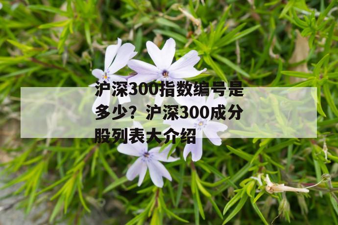 沪深300指数编号是多少？沪深300成分股列表大介绍 第1张