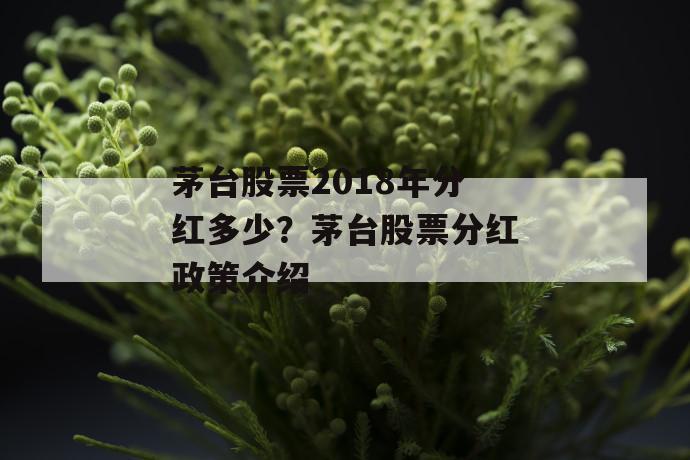 茅台股票2018年分红多少？茅台股票分红政策介绍 第1张