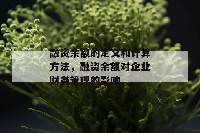 融资余额的定义和计算方法，融资余额对企业财务管理的影响 第1张