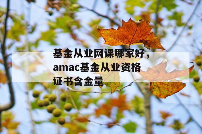 基金从业网课哪家好，amac基金从业资格证书含金量 第1张