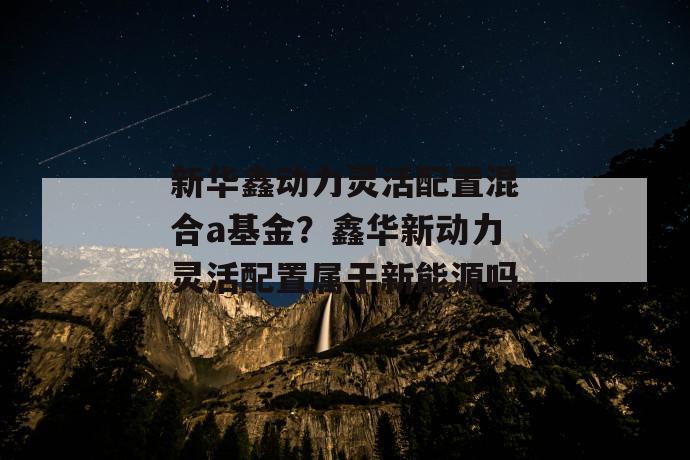 新华鑫动力灵活配置混合a基金？鑫华新动力灵活配置属于新能源吗 第1张