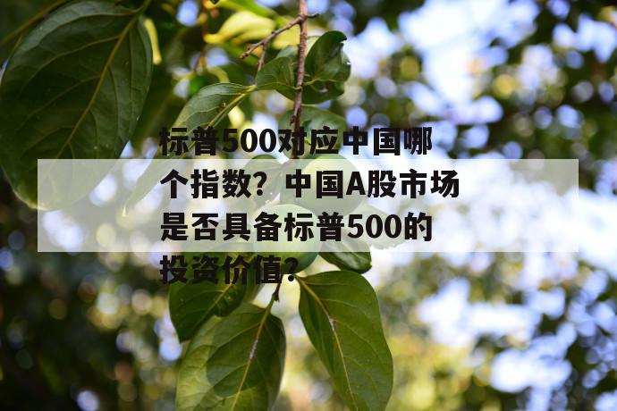 标普500对应中国哪个指数？中国a股市场是否具备标普500的投资价值？ 第1张