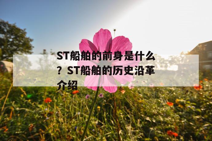 st船舶的前身是什么？st船舶的历史沿革介绍 第1张