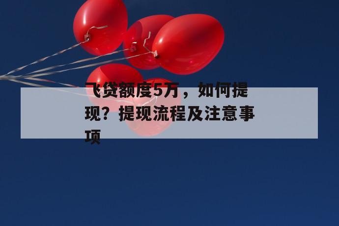 飞贷额度5万，如何提现？提现流程及注意事项 第1张