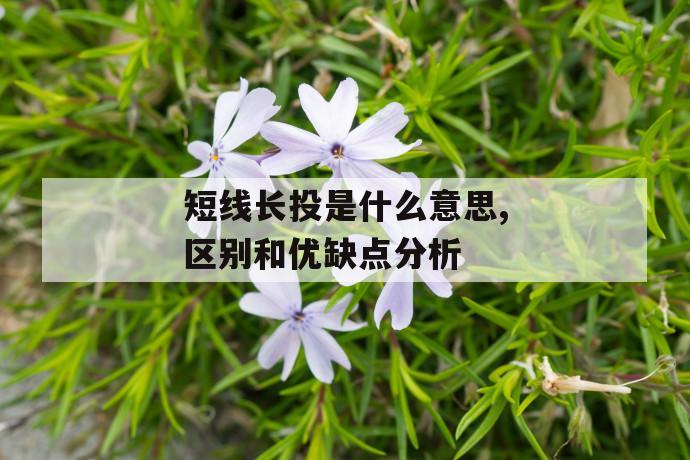 短线长投是什么意思,区别和优缺点分析 第1张