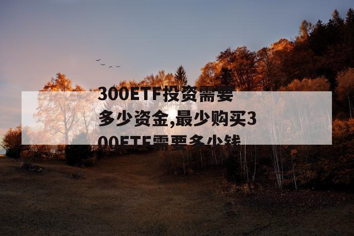 300etf投资需要多少资金,最少购买300etf需要多少钱 第1张