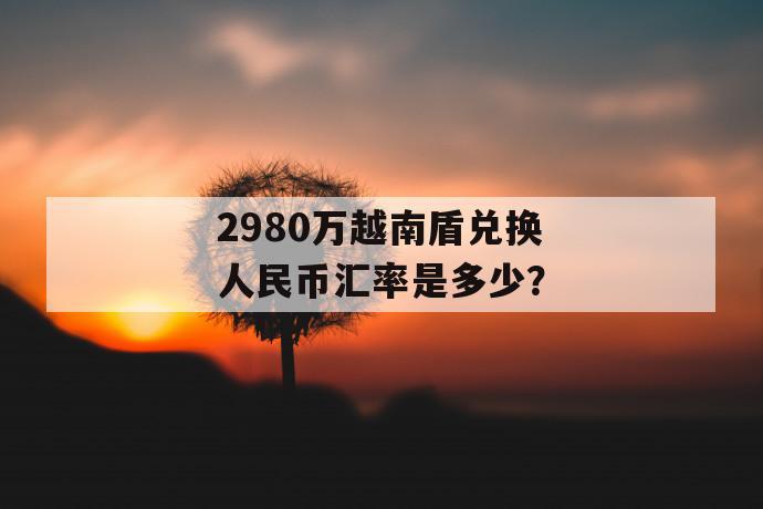 2980万越南盾兑换人民币汇率是多少？ 第1张