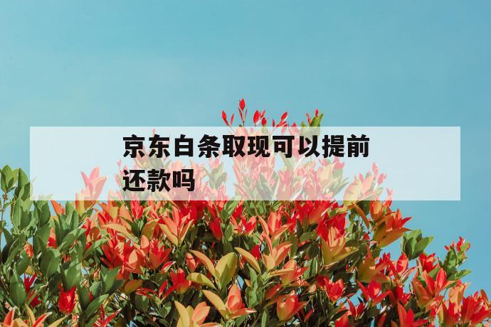 京东白条取现可以提前还款吗 第1张