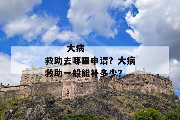 
       大病救助去哪里申请？大病救助一般能补多少？
     