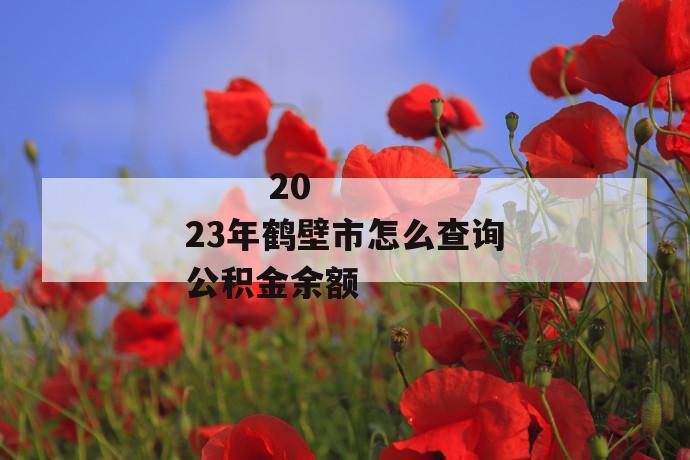 
       2023年鹤壁市怎么查询公积金余额
     