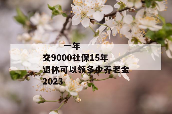 
       一年交9000社保15年退休可以领多少养老金2023
     