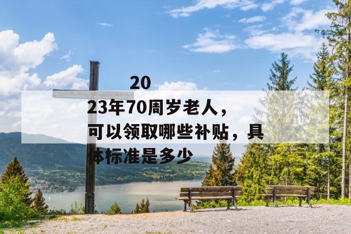 
       2023年70周岁老人，可以领取哪些补贴，具体标准是多少
     