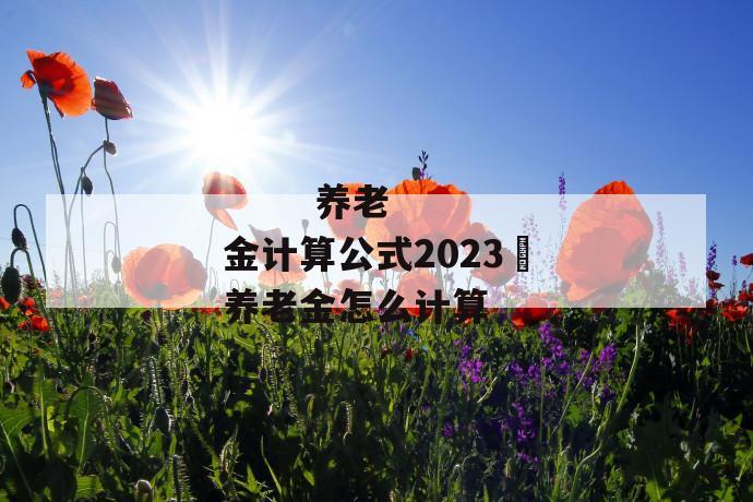 
       养老金计算公式2023 养老金怎么计算
     