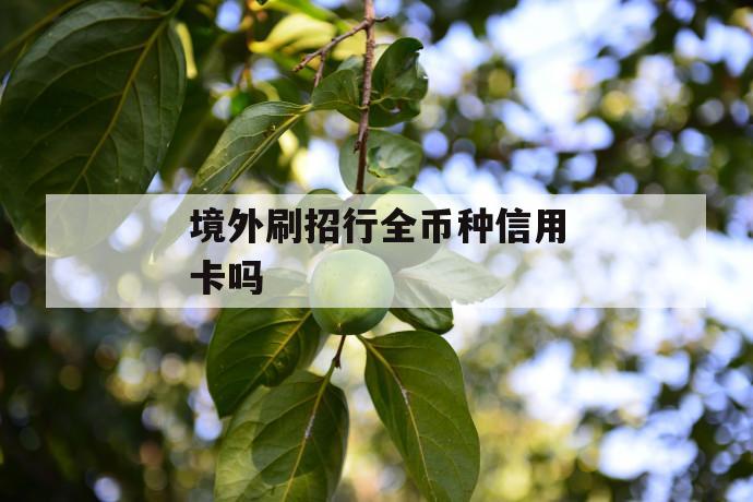 境外刷招行全币种信用卡吗 第1张