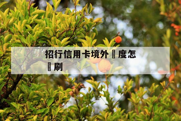 招行信用卡境外額度怎麼刷 第1张