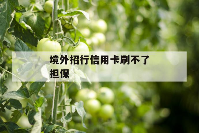 境外招行信用卡刷不了担保 第1张