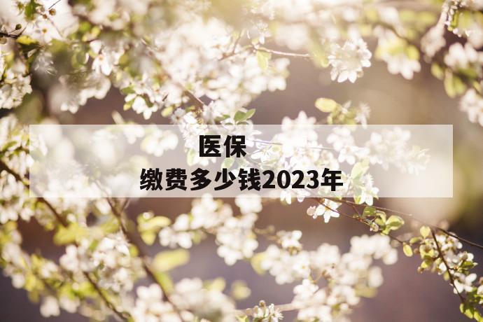 
       医保缴费多少钱2023年
     