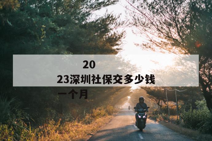 
       2023深圳社保交多少钱一个月
     