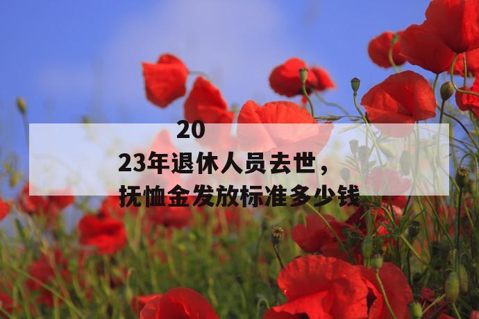 
       2023年退休人员去世，抚恤金发放标准多少钱
     