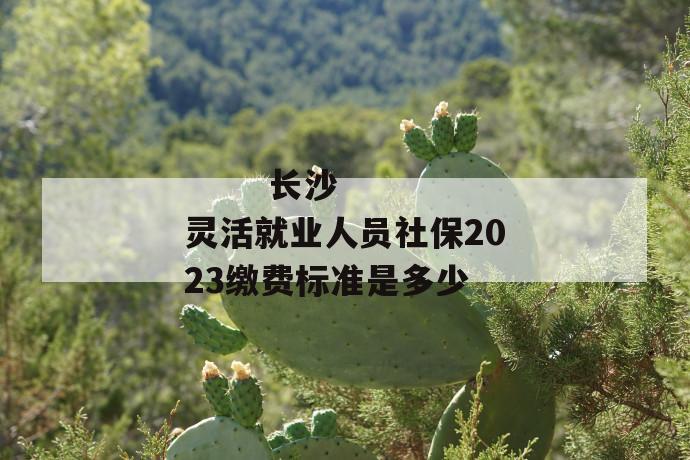 
       长沙灵活就业人员社保2023缴费标准是多少
     