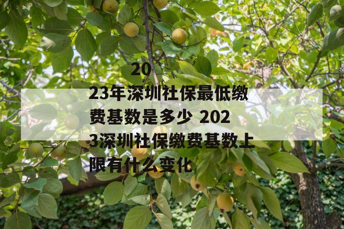 
       2023年深圳社保最低缴费基数是多少 2023深圳社保缴费基数上限有什么变化
     