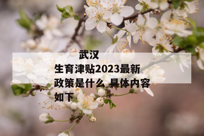 
       武汉生育津贴2023最新政策是什么 具体内容如下
     