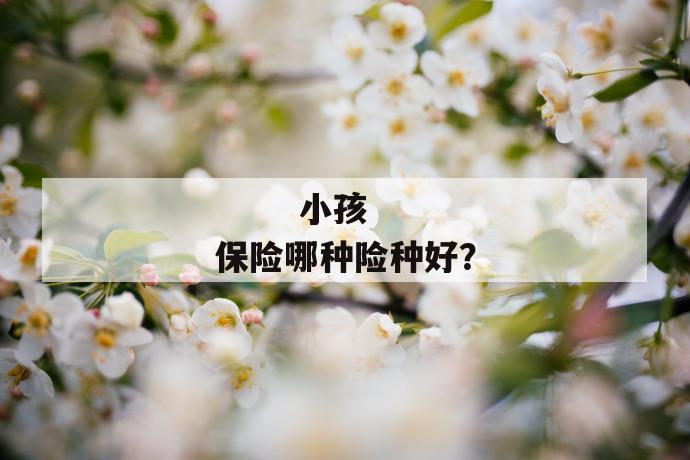 
       小孩保险哪种险种好？
     