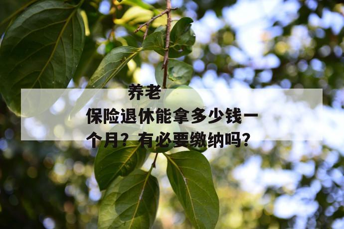 
       养老保险退休能拿多少钱一个月？有必要缴纳吗？
     