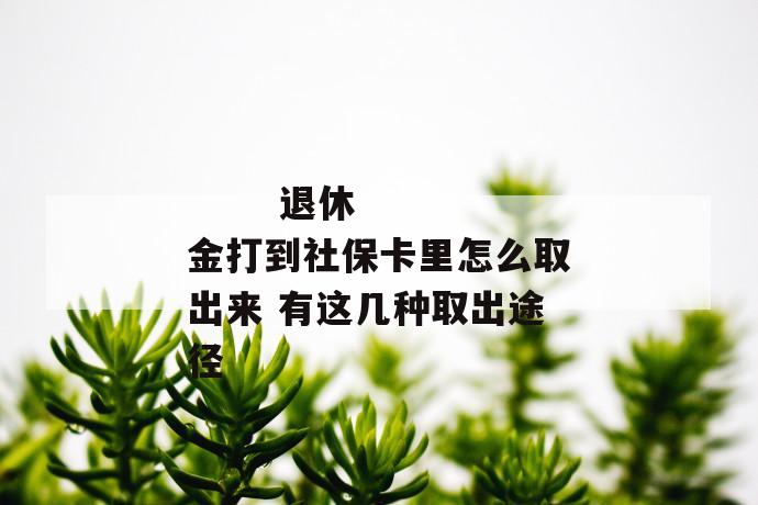 
       退休金打到社保卡里怎么取出来 有这几种取出途径
     