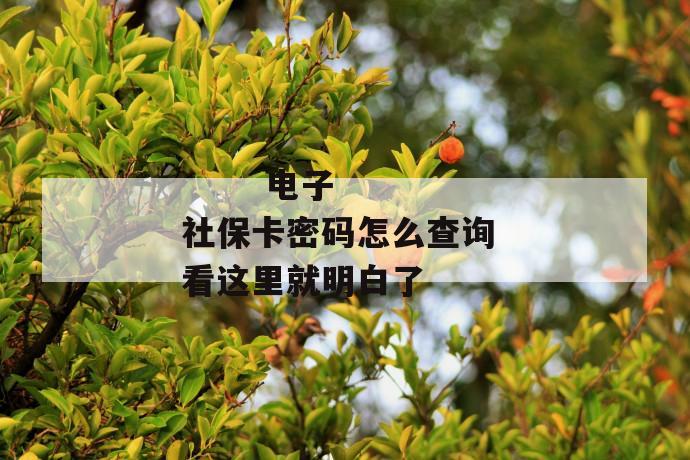 
       电子社保卡密码怎么查询 看这里就明白了
     