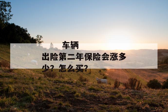 
       车辆出险第二年保险会涨多少？怎么买？
     