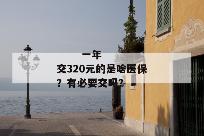 
       一年交320元的是啥医保？有必要交吗？
     