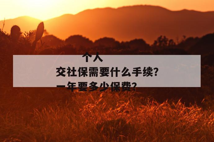 
       个人交社保需要什么手续？一年要多少保费？
     