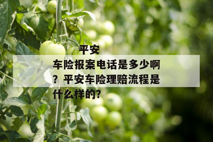 
       平安车险报案电话是多少啊？平安车险理赔流程是什么样的？
     