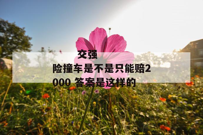 
       交强险撞车是不是只能赔2000 答案是这样的
     