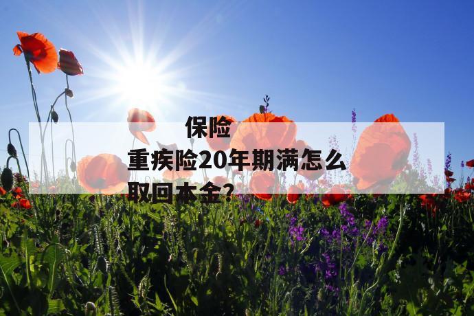 
       保险重疾险20年期满怎么取回本金？
     