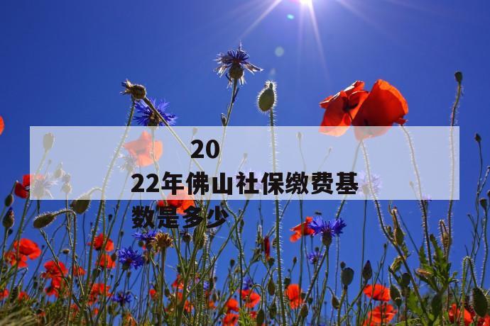 
       2022年佛山社保缴费基数是多少
     