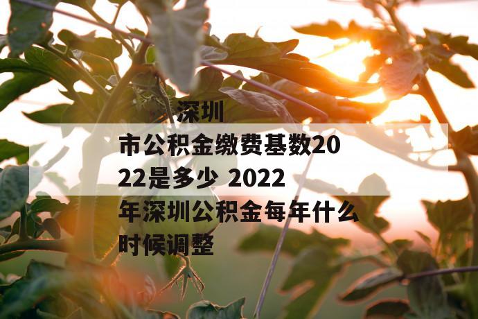 
       深圳市公积金缴费基数2022是多少 2022年深圳公积金每年什么时候调整
     