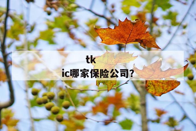 
       tkic哪家保险公司？
     