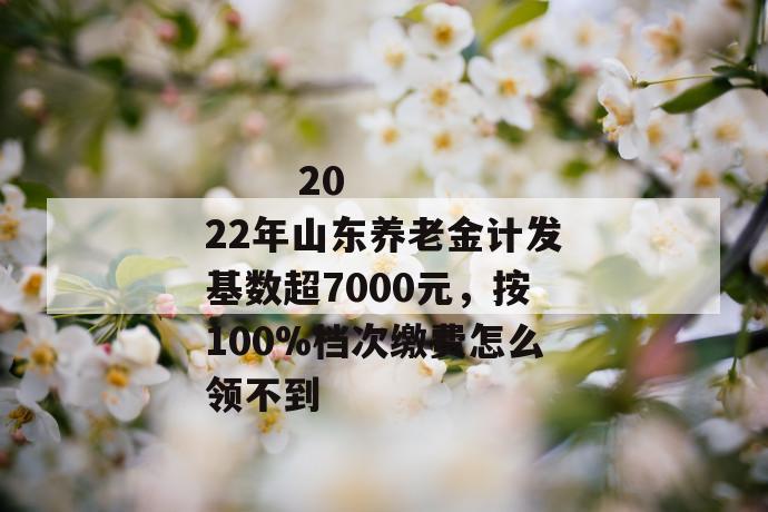 
       2022年山东养老金计发基数超7000元，按100%档次缴费怎么领不到
     