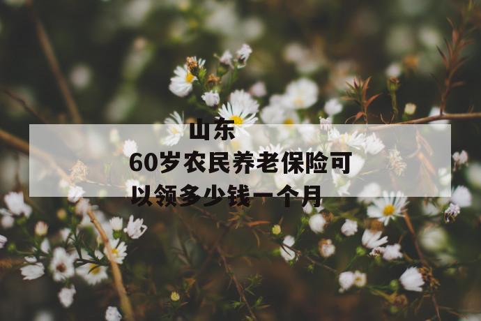 
       山东60岁农民养老保险可以领多少钱一个月
     