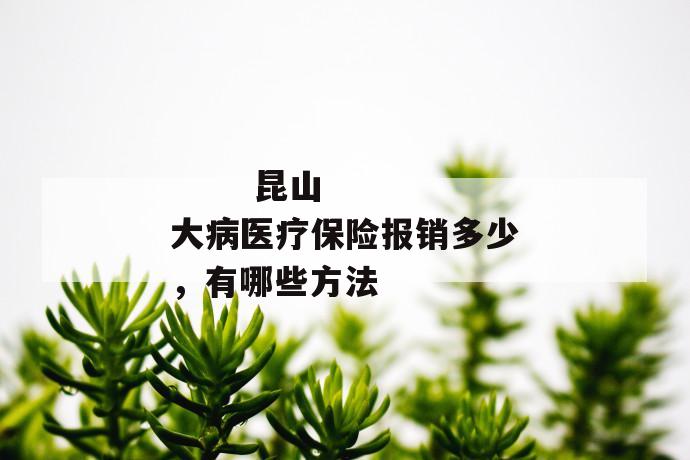 
       昆山大病医疗保险报销多少，有哪些方法
     