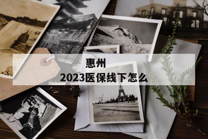 
       惠州2023医保线下怎么缴费
     