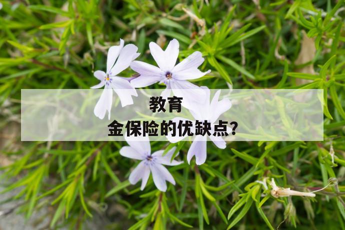 
       教育金保险的优缺点？
     