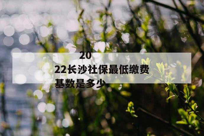 
       2022长沙社保最低缴费基数是多少
     