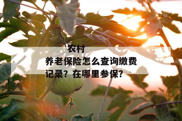 
       农村养老保险怎么查询缴费记录？在哪里参保？
     