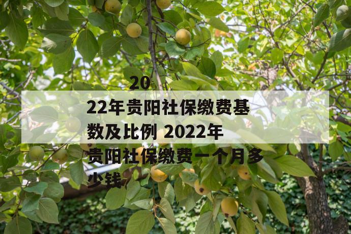 
       2022年贵阳社保缴费基数及比例 2022年贵阳社保缴费一个月多少钱
     