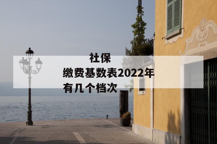 
       社保缴费基数表2022年有几个档次
     