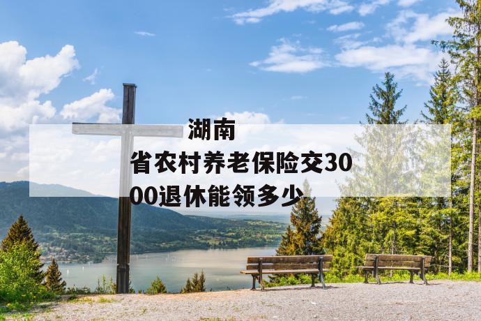 
       湖南省农村养老保险交3000退休能领多少
     